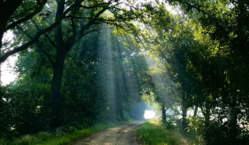 Starting Your Spiritual Journey: 5 Simple Steps to Grow Closer to God