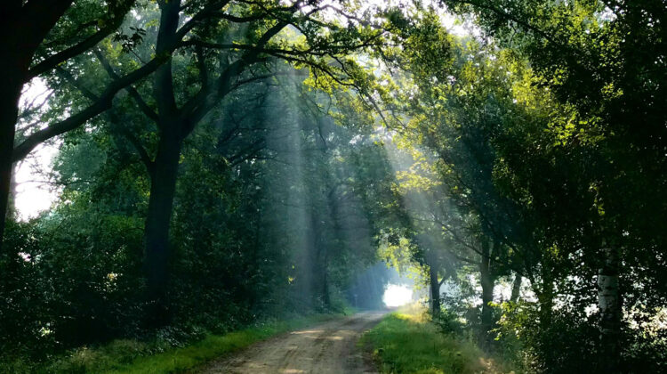Starting Your Spiritual Journey: 5 Simple Steps to Grow Closer to God
